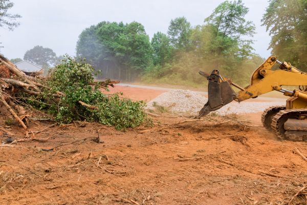 Cost of Ground Clearing in Lexington