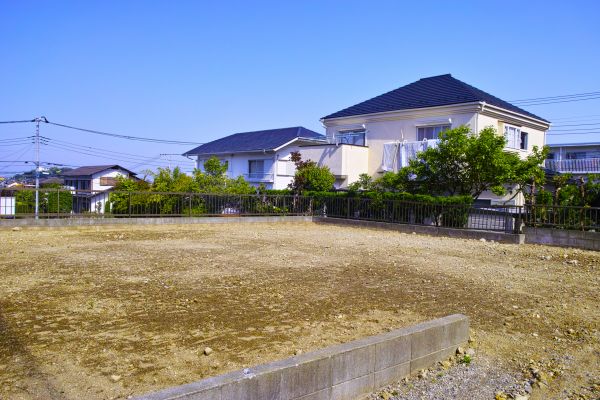 Cost of Lot Clearing Service in Lexington