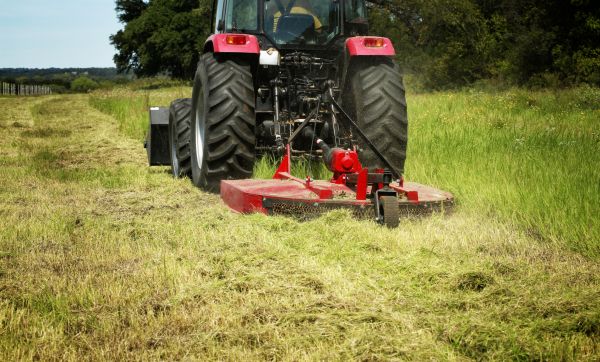 Cost of Brush Clearing Service in Lexington