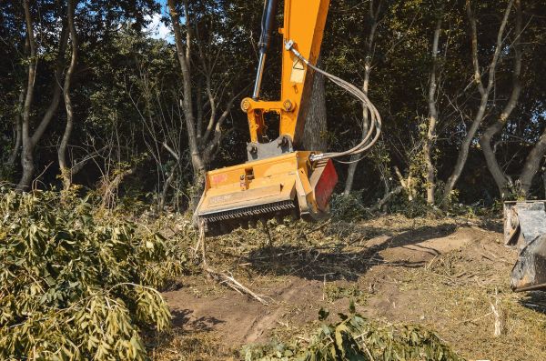 Cost of Brush Removal Service in Lexington