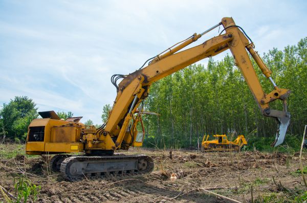 Cost of Farm Clearing in Lexington