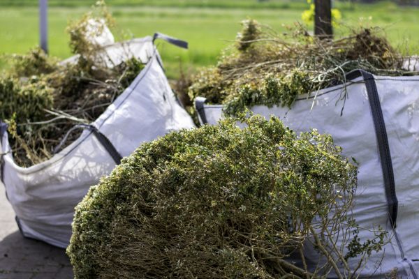 Cost of Bushes Clearing in Lexington