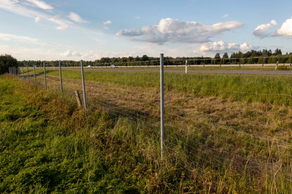 Cost of Property Line Clearing in Lexington