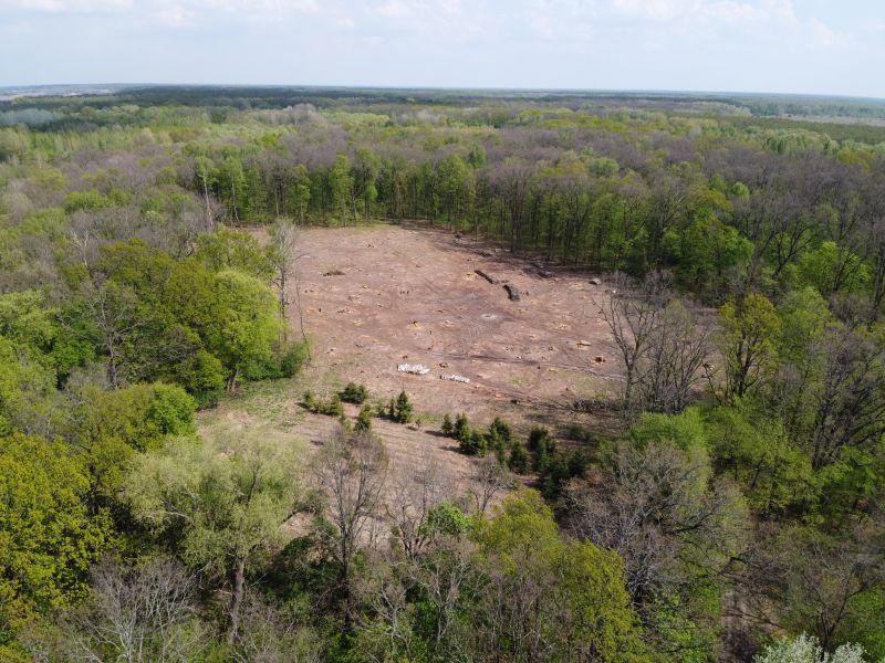 Expectations from professional land clearing